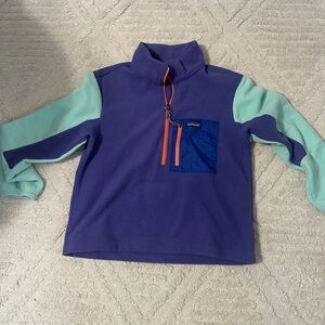 Patagonia Vibrant Purple Fleece with Blue Accents